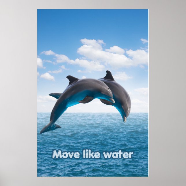 Dolphin Jump Ocean Wall Art Summer Splash Poster (Front)