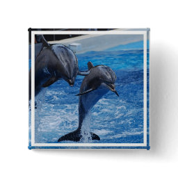 Dolphin Jumping  Button