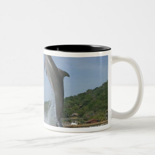 Dolphin jumping Roatan Bay Islands Honduras Two_Tone Coffee Mug