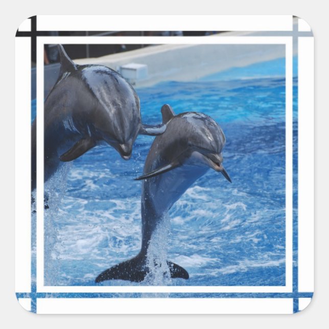Dolphin Jumping Stickers (Front)