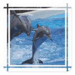 Dolphin Jumping Stickers