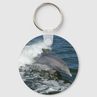Dolphin Keychain