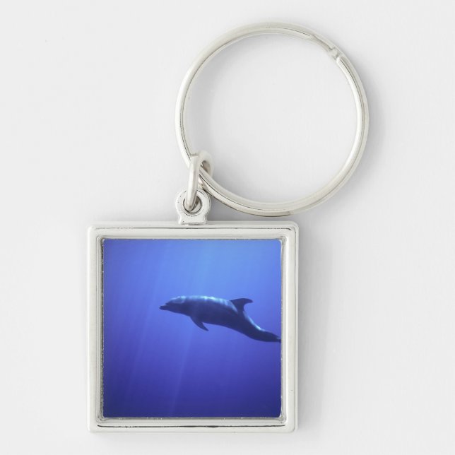 Dolphin Keychain (Front)
