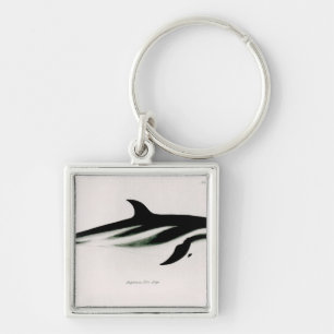 Dolphin Keychain