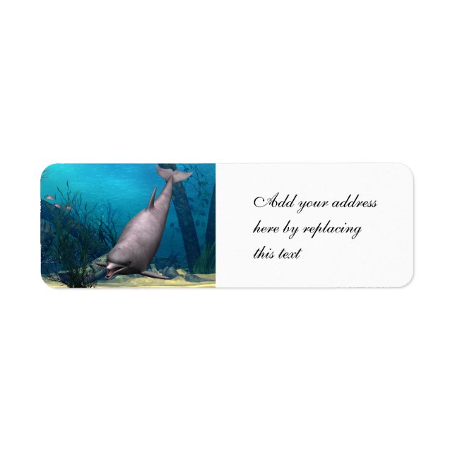 Dolphin Label (Front)