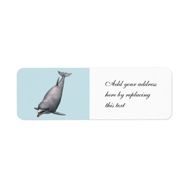 Dolphin Label (Front)