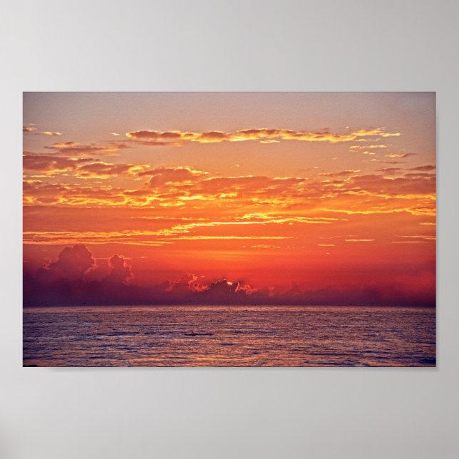 Dolphin Leaping at Sunrise Poster (Front)