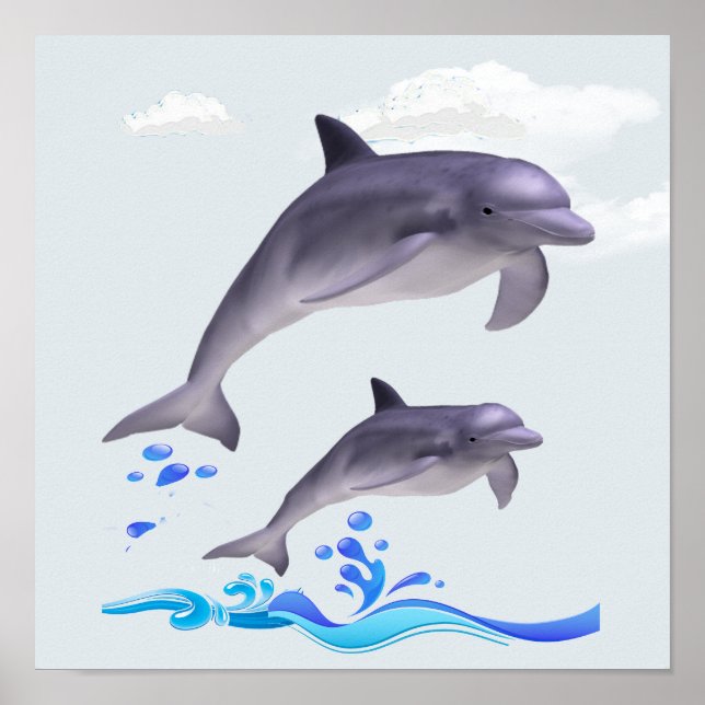 Dolphin Love Poster (Front)
