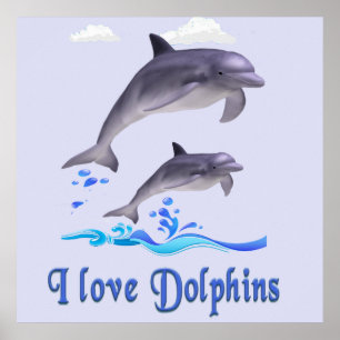 Dolphin Love Poster