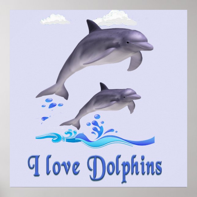 Dolphin Love Poster (Front)