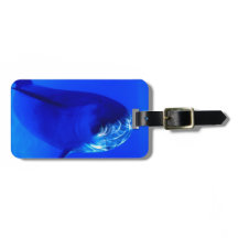 Dolphin Luggage Tag.