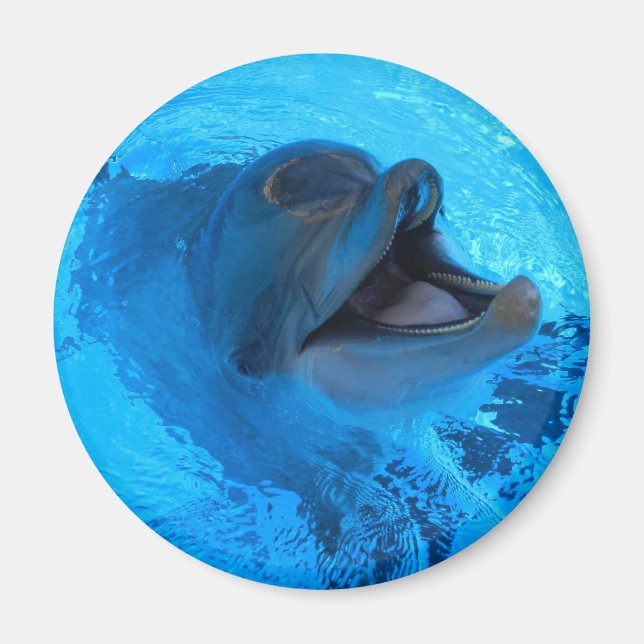 Dolphin Magnet (Front)