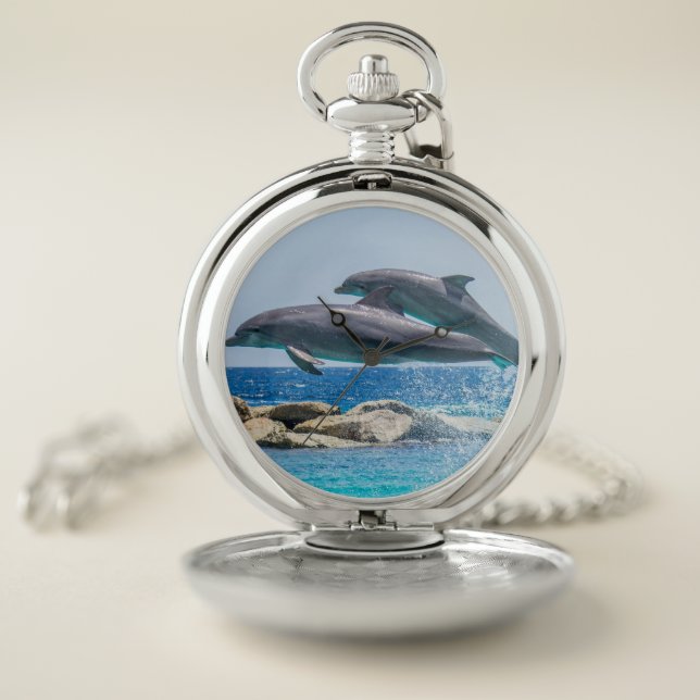 Dolphin Marine Animal Swim Dive Destiny Destiny's Pocket Watch (Inside)