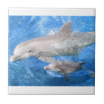 Dolphin Mother And Baby Ceramic Tile at Zazzle