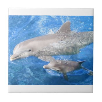 Dolphin Mother And Baby Ceramic Tile by PetsRPeople2 at Zazzle