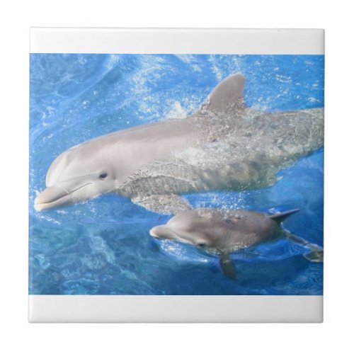 Dolphin Mother and Baby Ceramic Tile