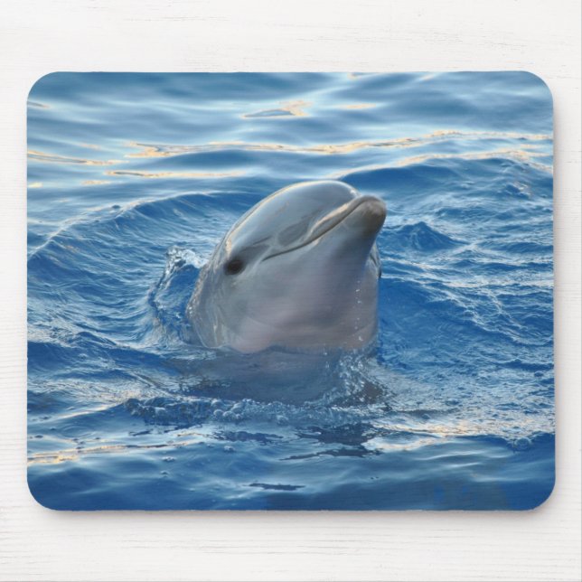 Dolphin Mouse Pad (Front)