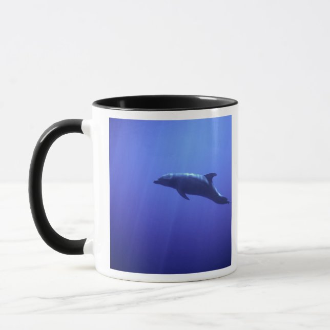 Dolphin Mug (Left)
