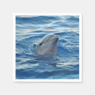Dolphin Napkins