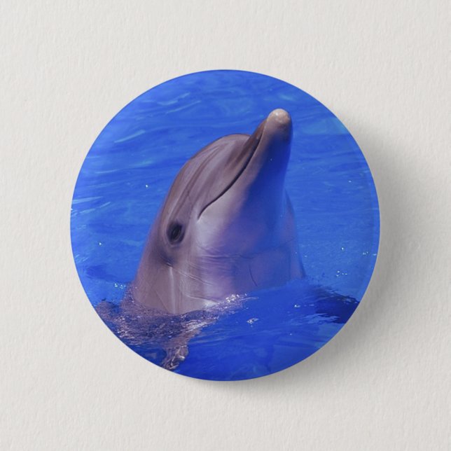 Dolphin Nose Button (Front)