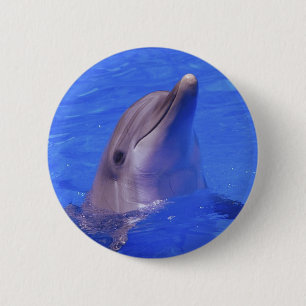 Dolphin Nose Button