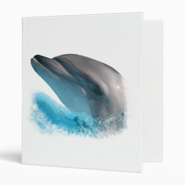 Dolphin nose  ring binder (Front/Inside)