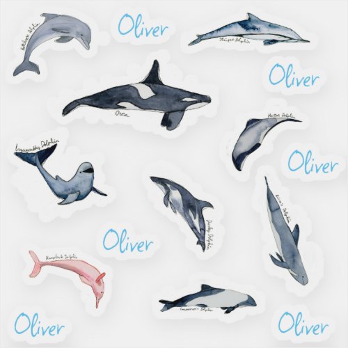 Dolphin orca watercolor drawing personalised name sticker