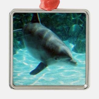 Dolphin Ornament
