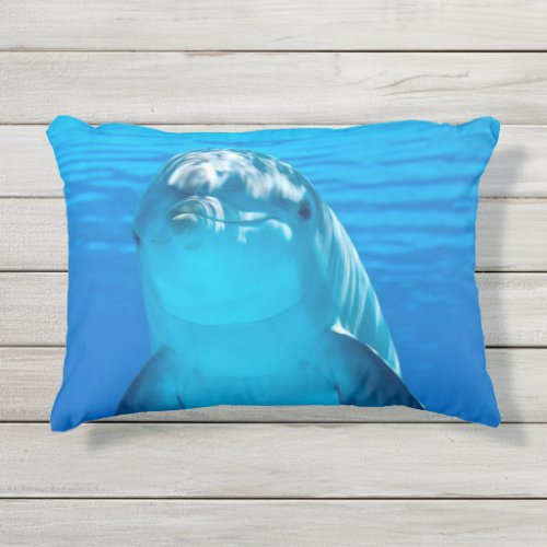 Dolphin Outdoor Pillow
