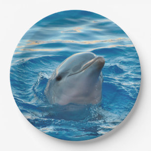 Dolphin Paper Plates