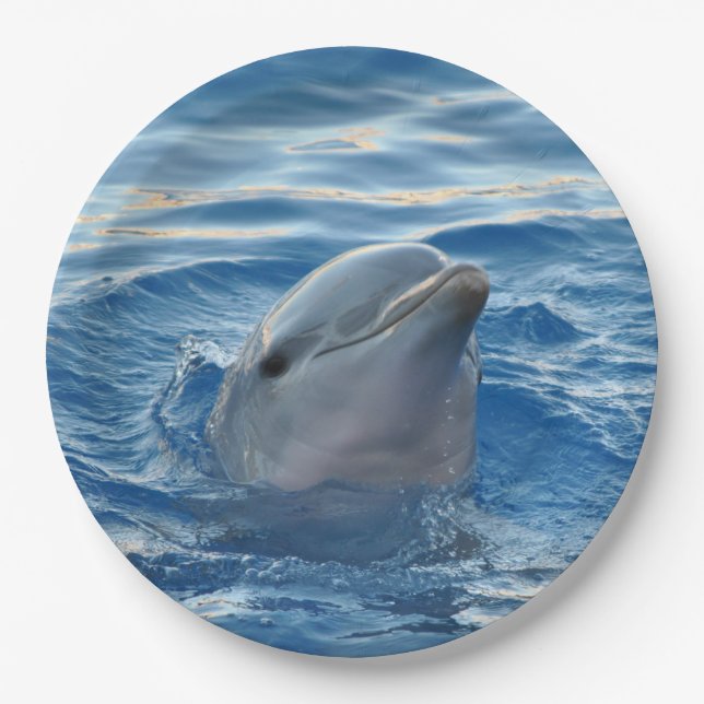 Dolphin Paper Plates (Front)