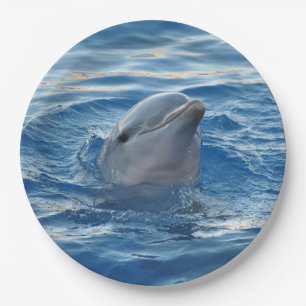 Dolphin Paper Plates