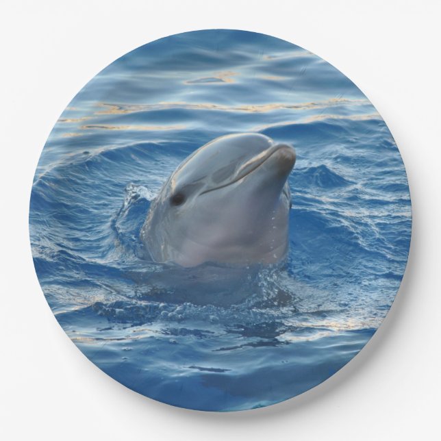 Dolphin Paper Plates (Front)