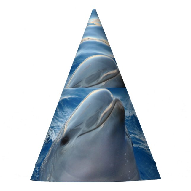 Dolphin Party Hat (Front)