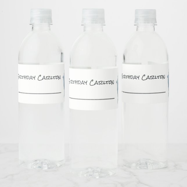Dolphin Party Kids Personal Water Bottle Label (Bottles)