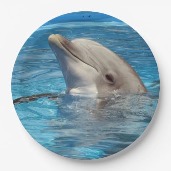 Dolphin Party Plates by Designs_Accessorize at Zazzle
