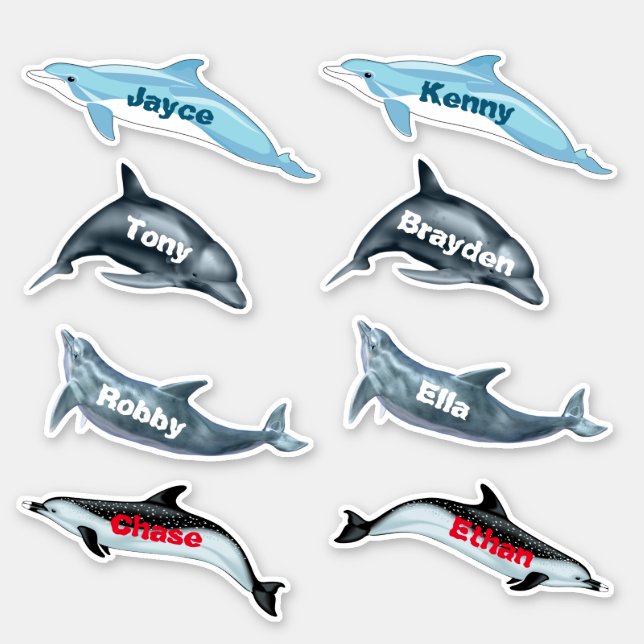Dolphin Party Stickers With Names (Front)