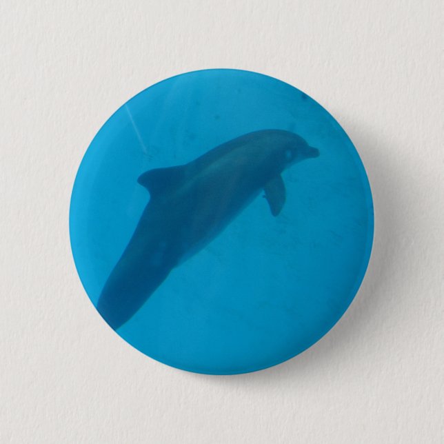 dolphin pinback button (Front)
