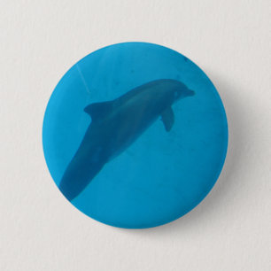 dolphin pinback button