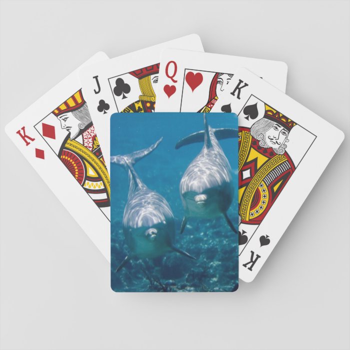 Dolphin Playing Cards