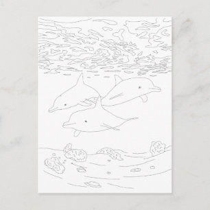 Dolphin Pod Adult Coloring Postcard