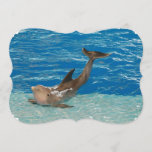 Dolphin Pose Invitation