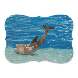 Dolphin Pose Invitation