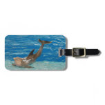 Dolphin Pose Luggage Tag
