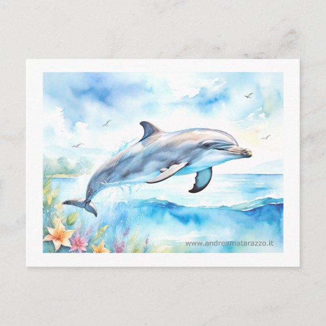 Dolphin Postcard (Front)