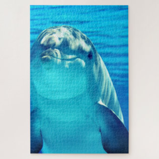 Dolphin Puzzle