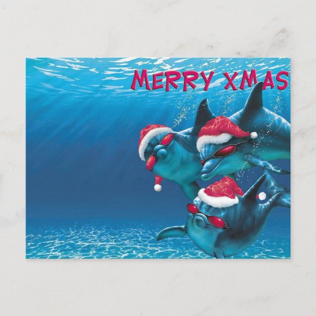 Dolphin Santa Hat Funny Christmas Postcard (Front)