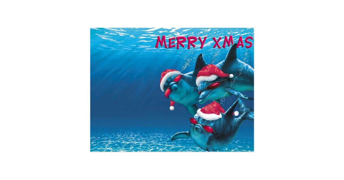 Dolphin Santa Hat Funny Christmas Postcard | Zazzle.com