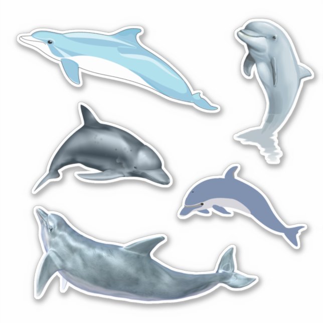 Dolphin Shaped Stickers Kids Party (Front)