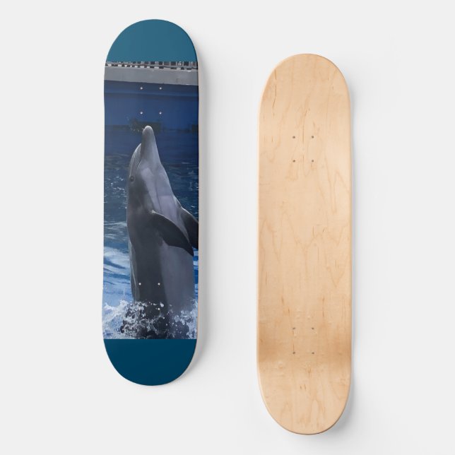 Dolphin Skateboard (Front)